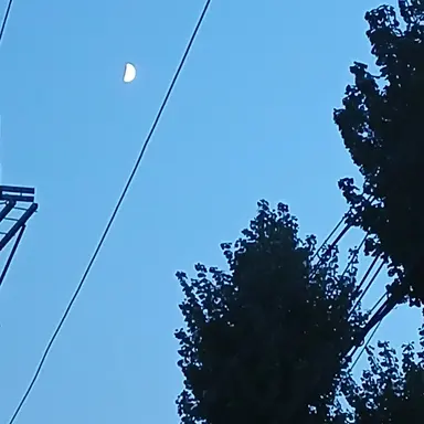 Profile image of 뜰팁