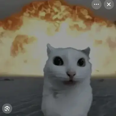 Profile image of Damian x user