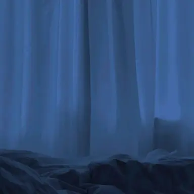 Profile image of 緋八マナ