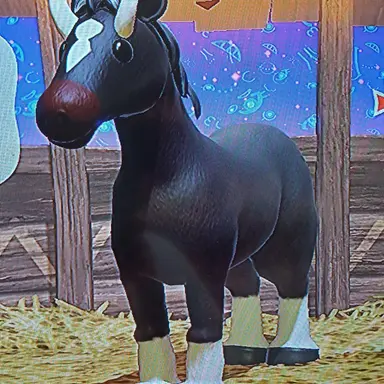 Profile image of ラッキー