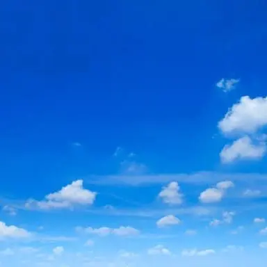 Profile image of 고세구.