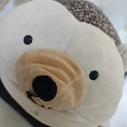 GetDdong의 고슴이
