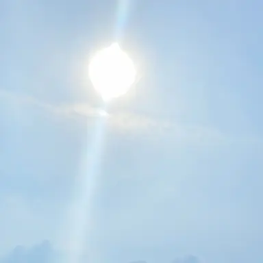 Profile image of Shunta Imai