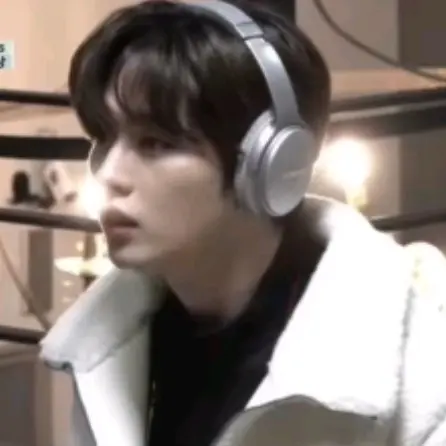 stray_kids의 이민호