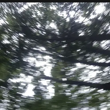 Profile image of 디팡