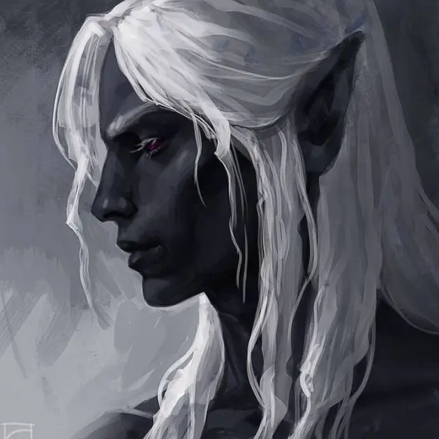 KennCat의 Dark elf