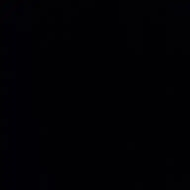 Profile image of 첼드