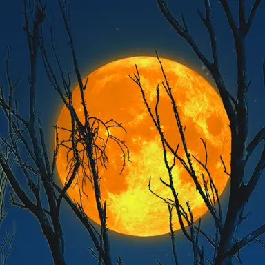 Profile image of ジュンジ