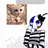 フランス