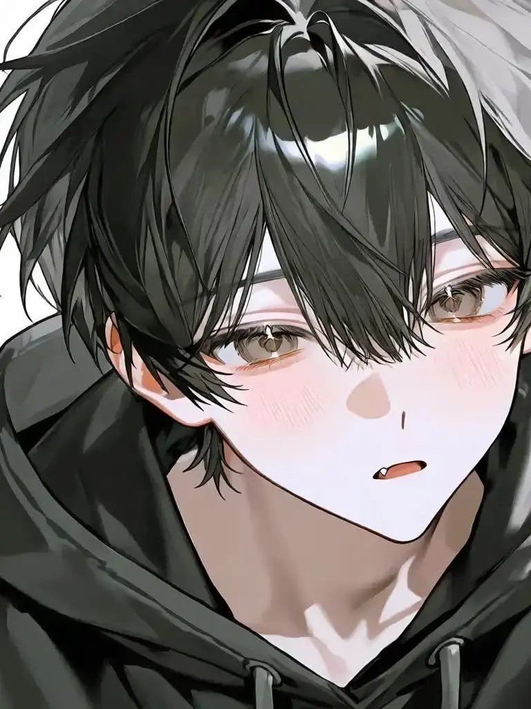 Ha0._el1의 冷たく凍りついた君という季節