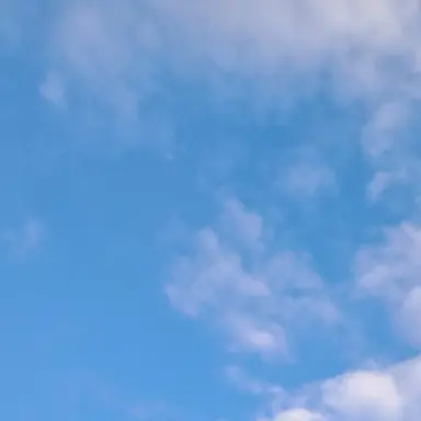 Profile image of 평학