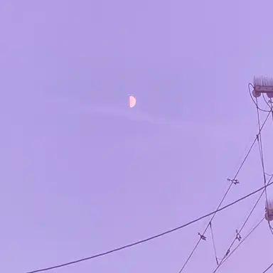 Profile image of 東言