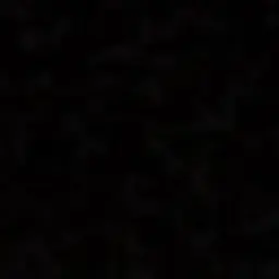 01txt01의 최범규