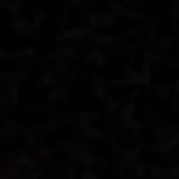 범규