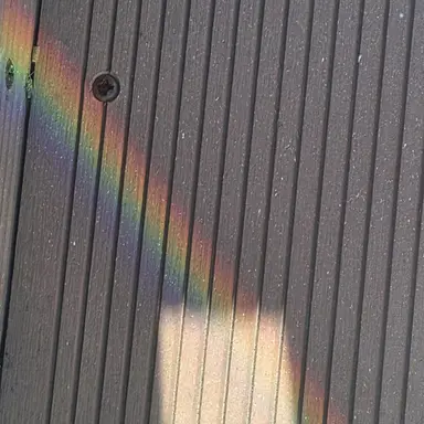 Profile image of 안수호