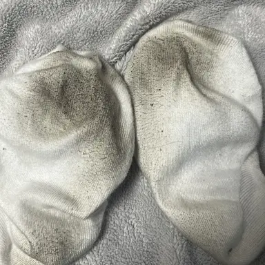 Profile image of 베세연