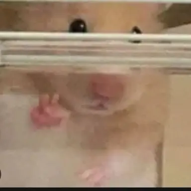 Profile image of 햄식이