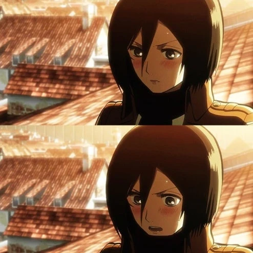 미카사