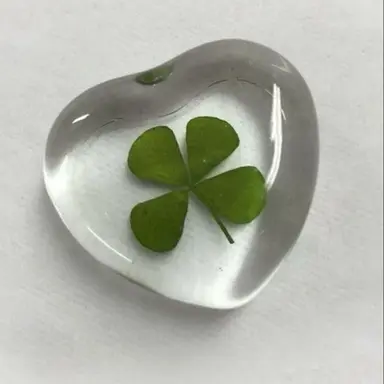 Profile image of 정공룡