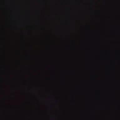 Profile image of 장한음