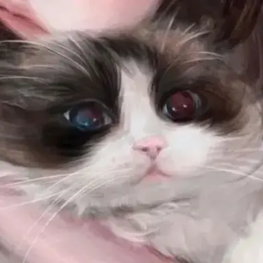 Profile image of 코코