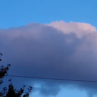 Profile image of 이상원