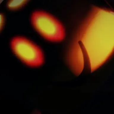 Profile image of 보스 뉴비