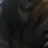 감자