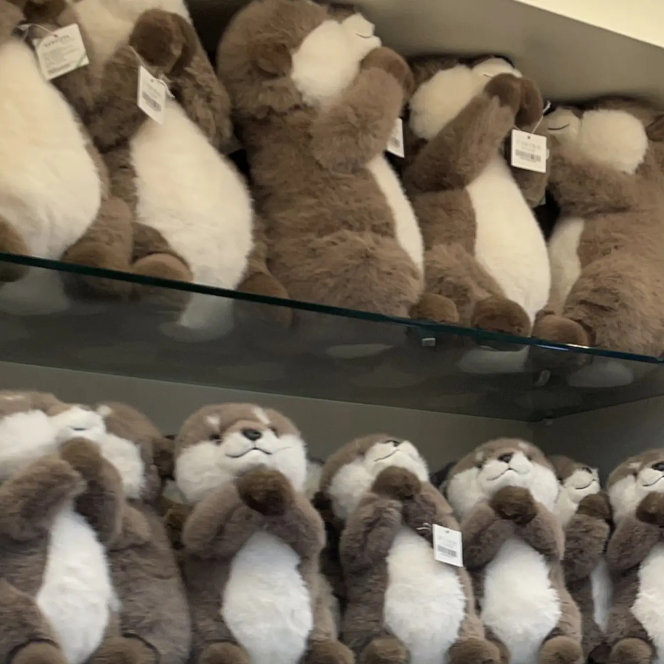 one_door123498의 동거띠