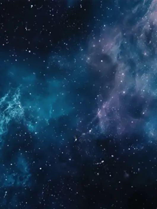 RareVale5085의 ある星の人食い部族