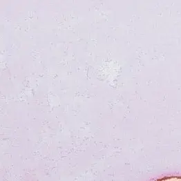 Profile image of 김동현