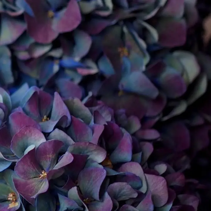 Tukasaki__의 榊ネス