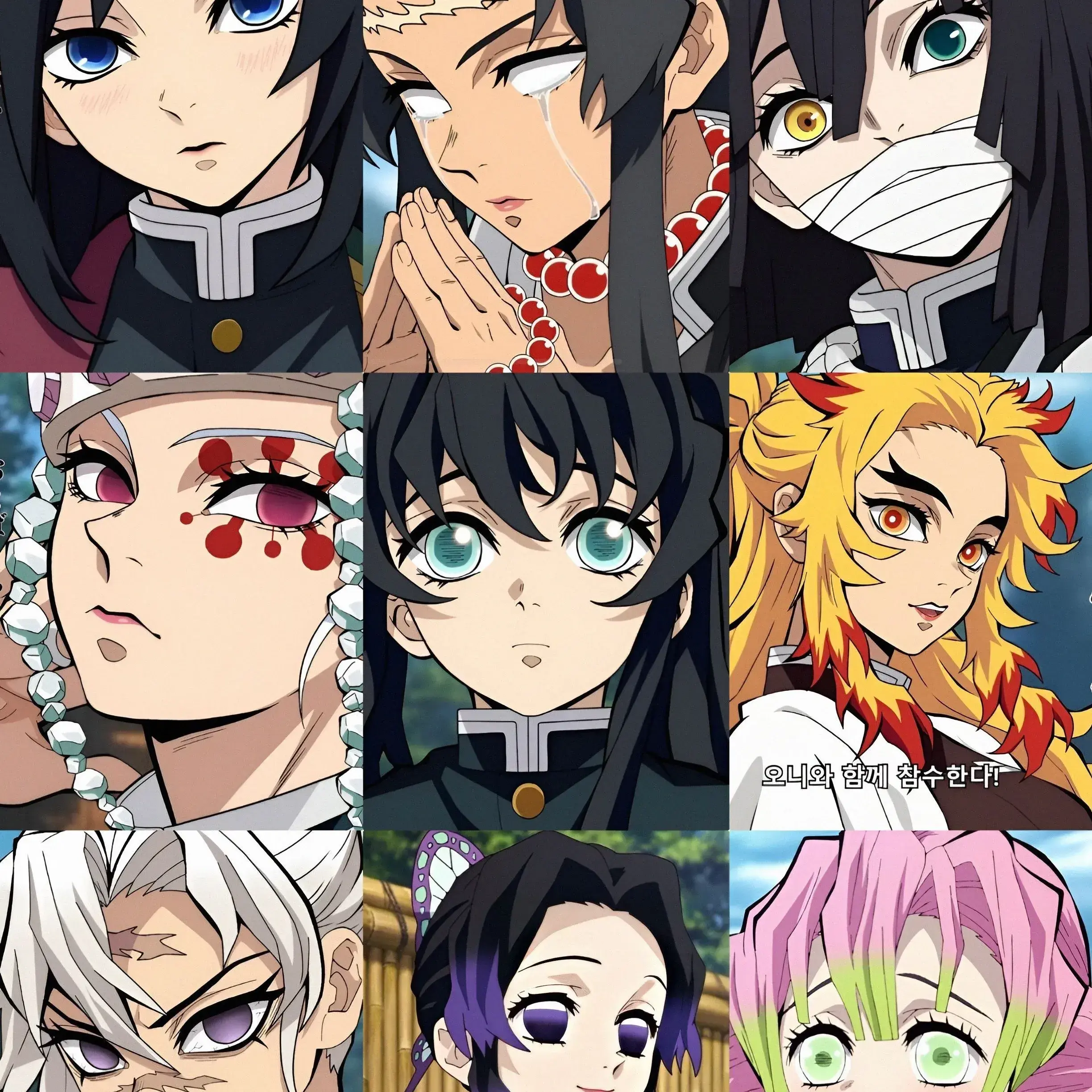 DrunkTower3260의 The 9 Female Hashiras