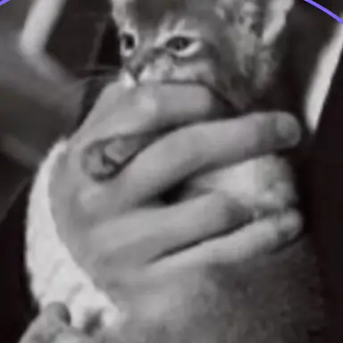 Profile image of ジヨン