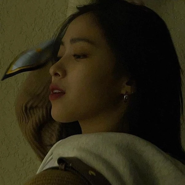 신류진