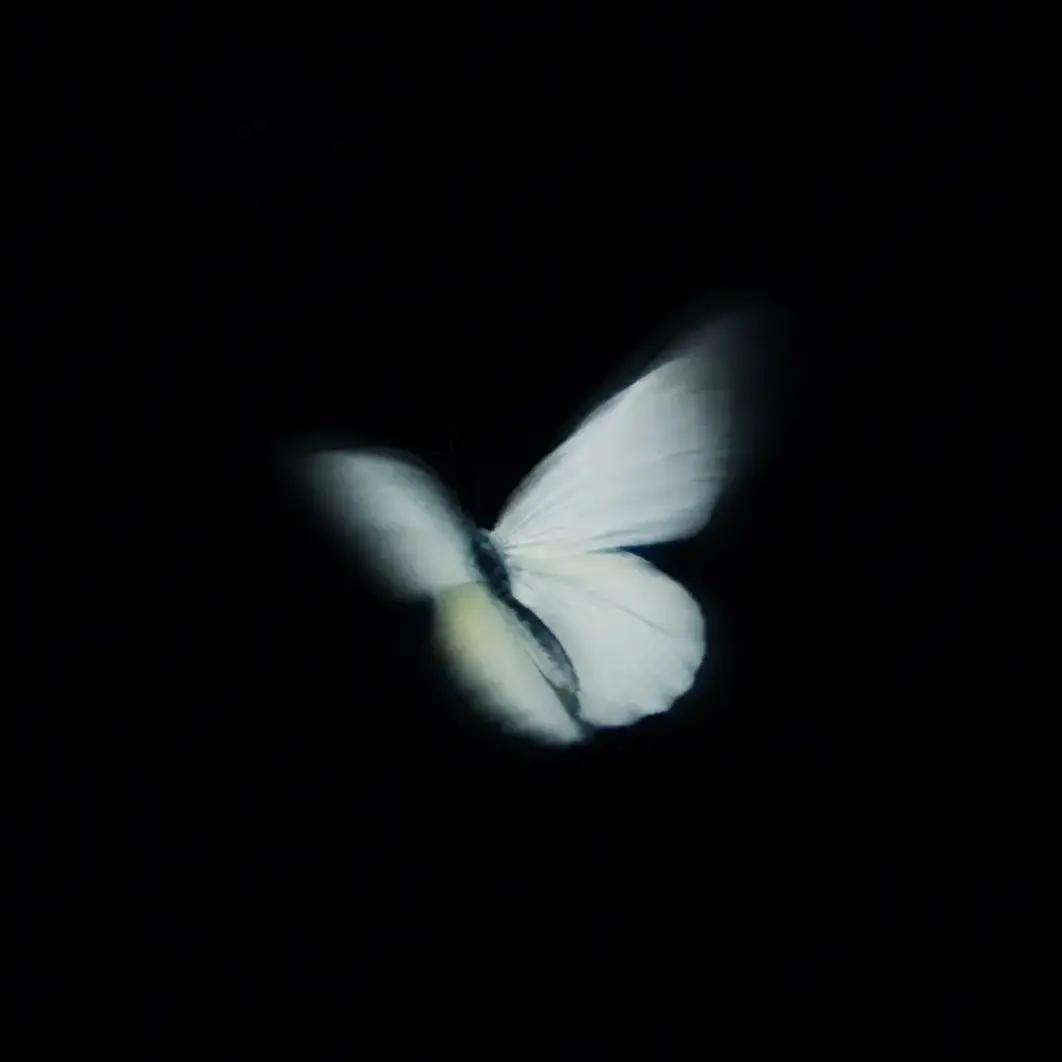 a___sskiz의 아무것도 안하고