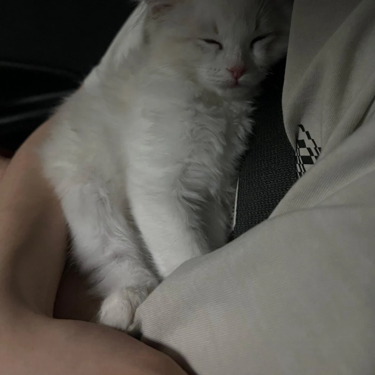 정상현