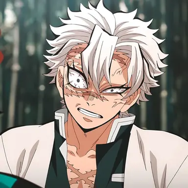 Profile image of Sanemi Shinazugawa
