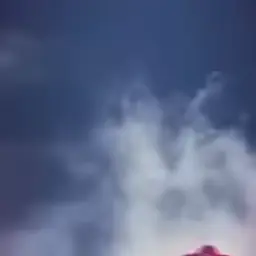 Profile image of 樹