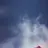 樹
