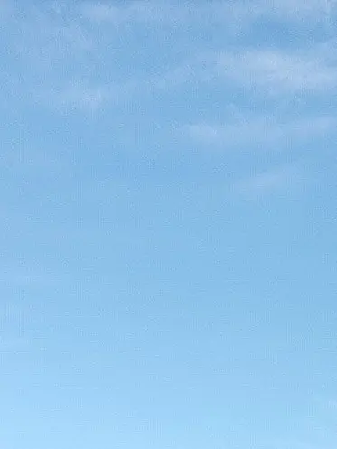 EliteOlm4326의 北欧ファイブさん達と兄弟！