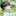 최민우
