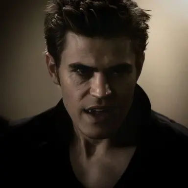 Profile image of Stefan