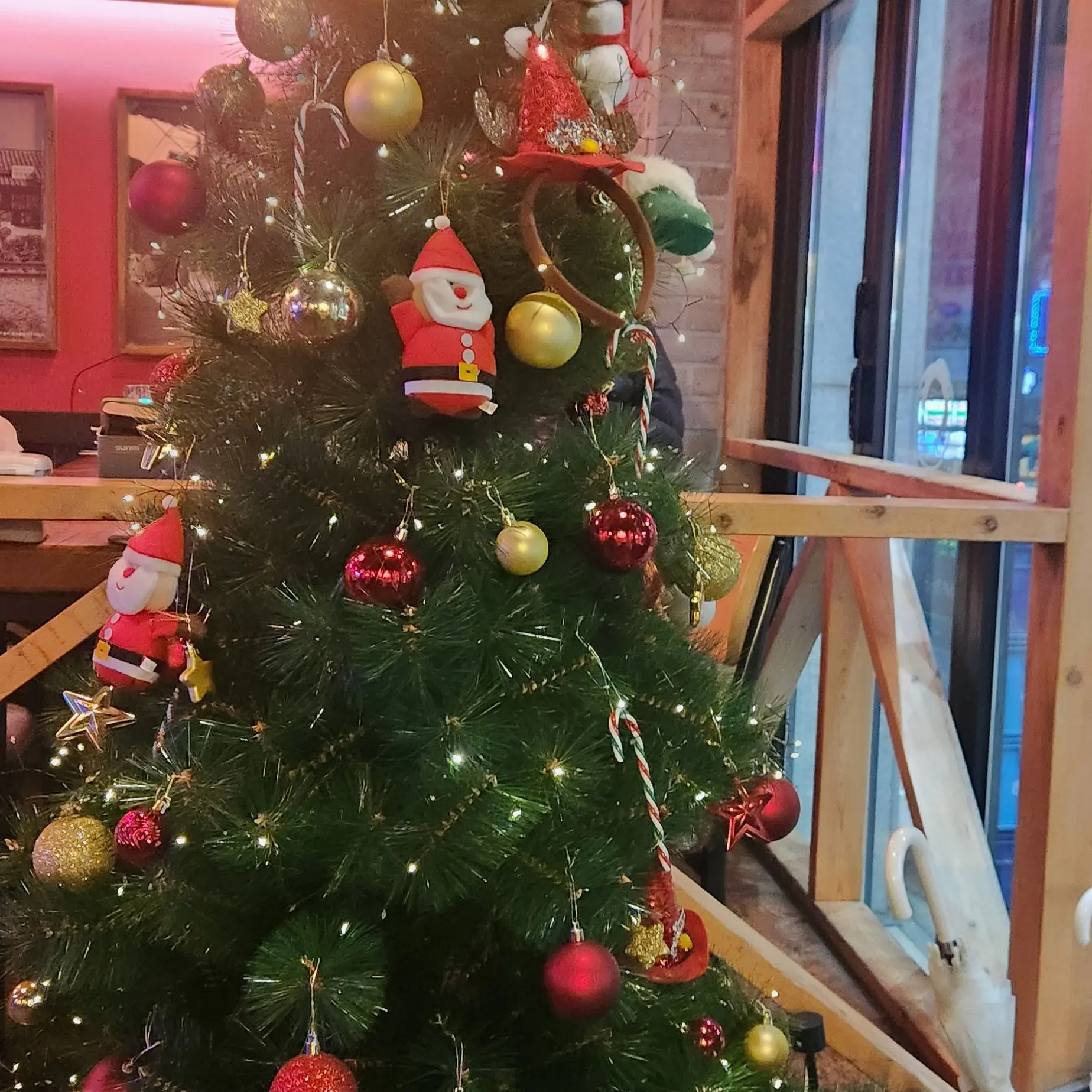 FrayedShack6608의 유유타이거, 예콩이네!! + 고양이