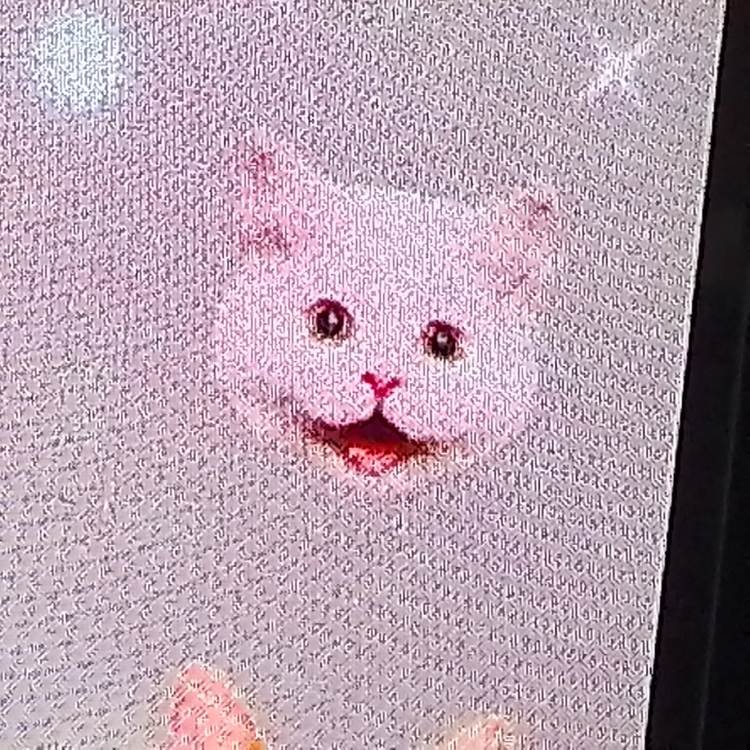 여우