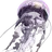 리버렐리오