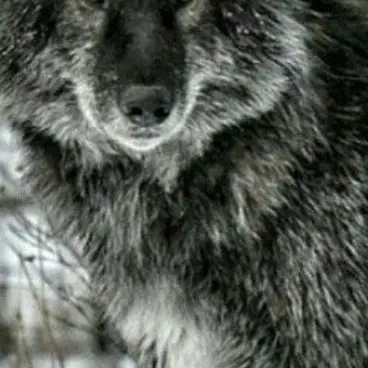 Profile image of 타이탄