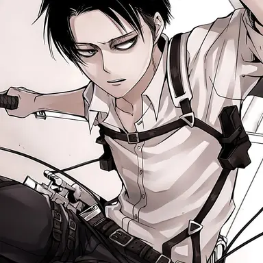 Profile image of Levi Ackerman