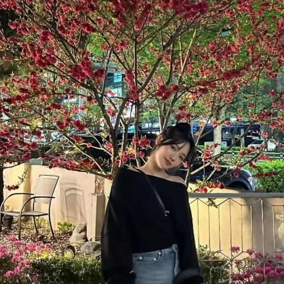 노지선