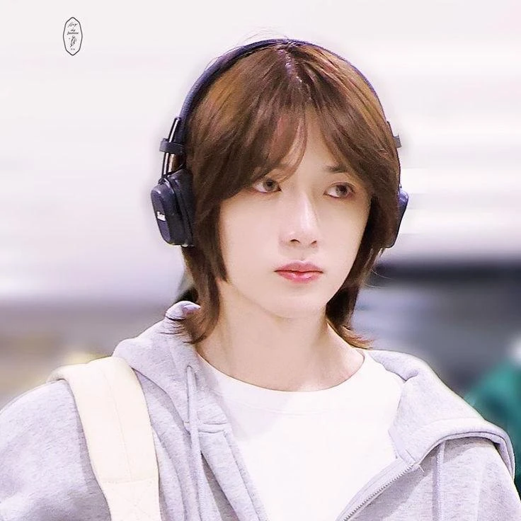 범규